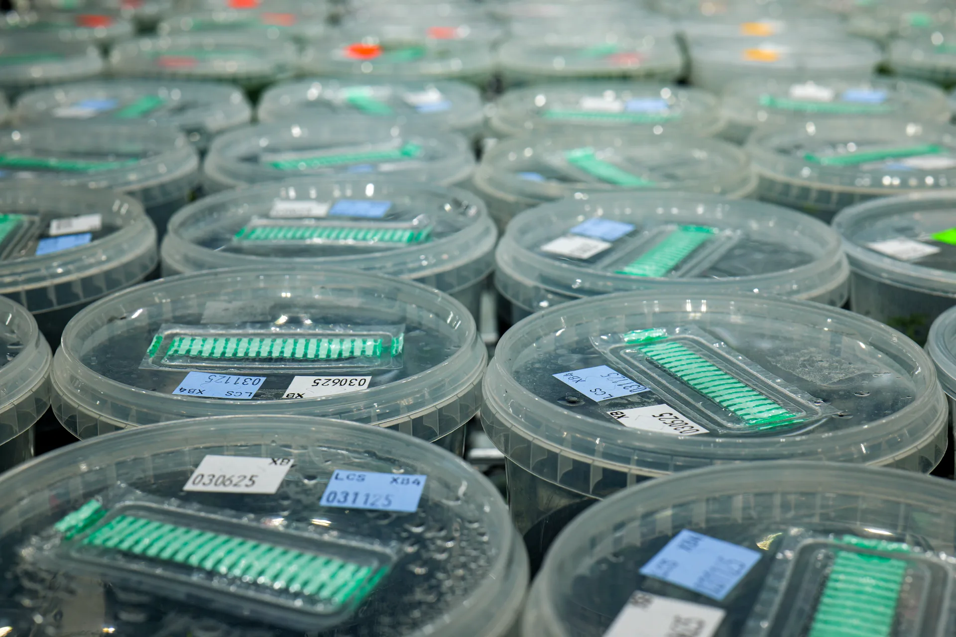 Growth chamber — vertical racking system